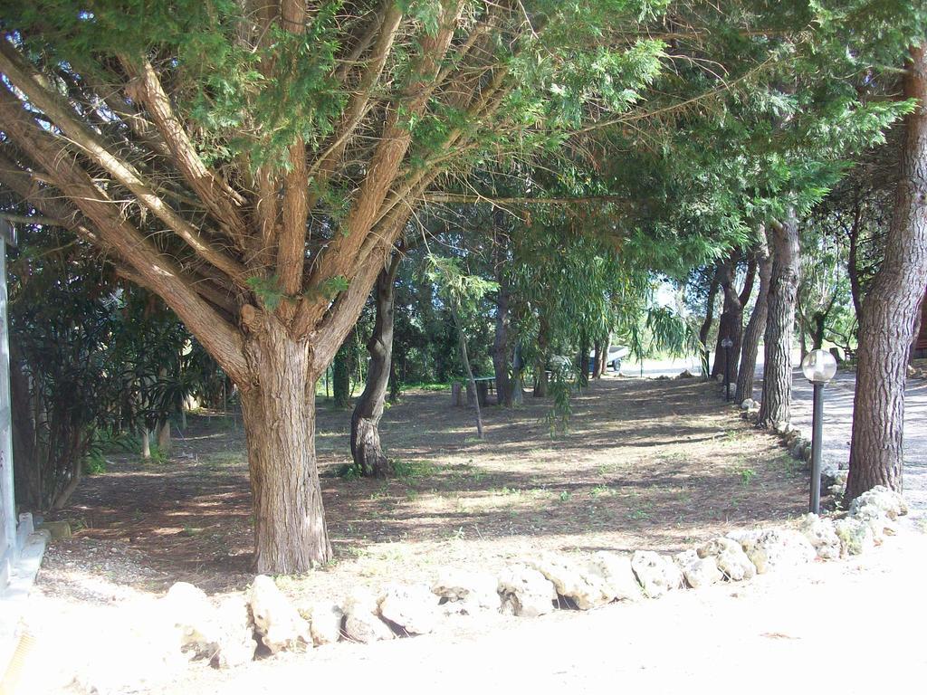Appartamenti Turistici Aprile Antonio Luigi Borgagne Dış mekan fotoğraf